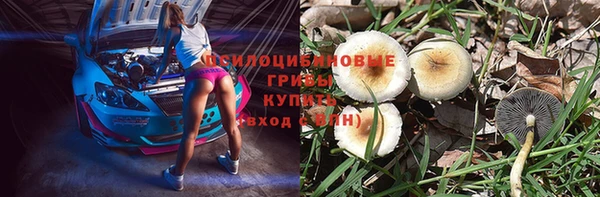 дурь Армянск
