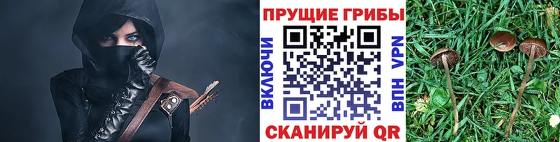 Галлюциногенные грибы ЛСД  Уссурийск 